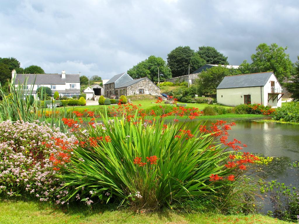 Bed and Breakfast Polhilsa Farm Callington Exterior foto