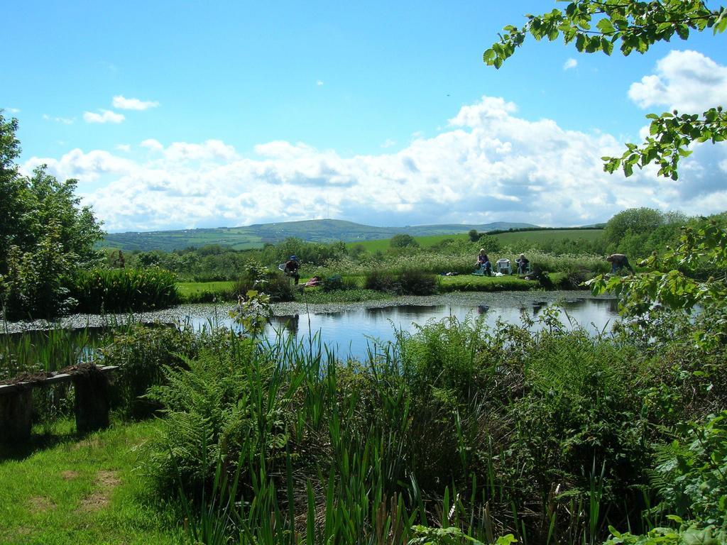 Bed and Breakfast Polhilsa Farm Callington Exterior foto