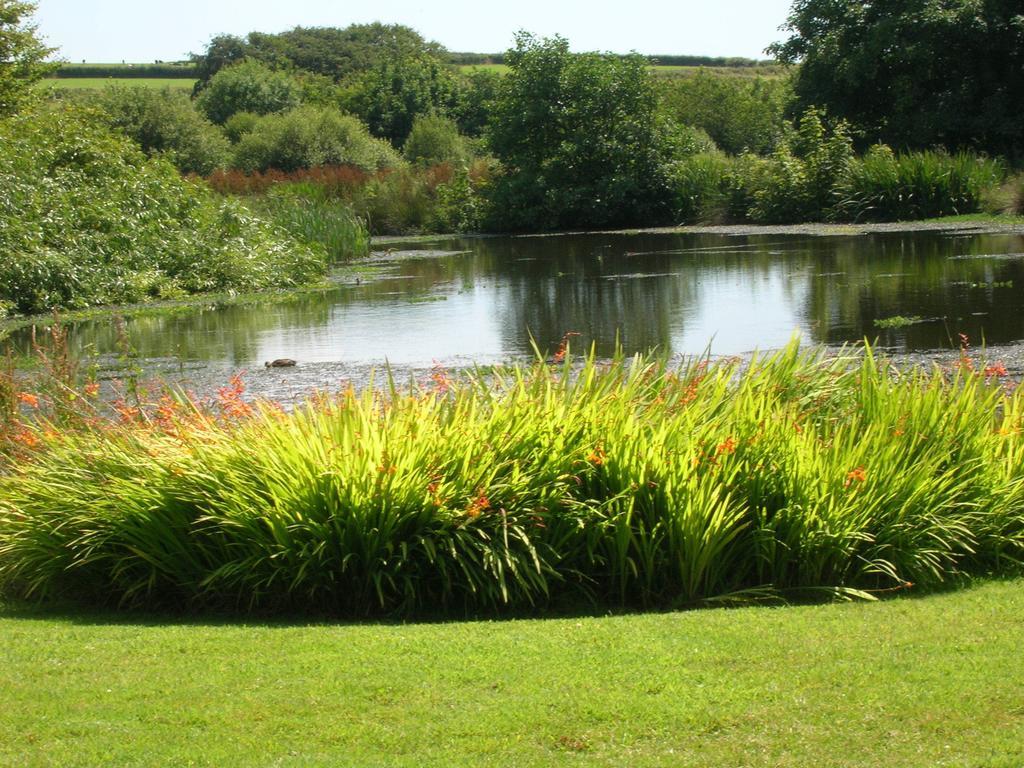 Bed and Breakfast Polhilsa Farm Callington Exterior foto